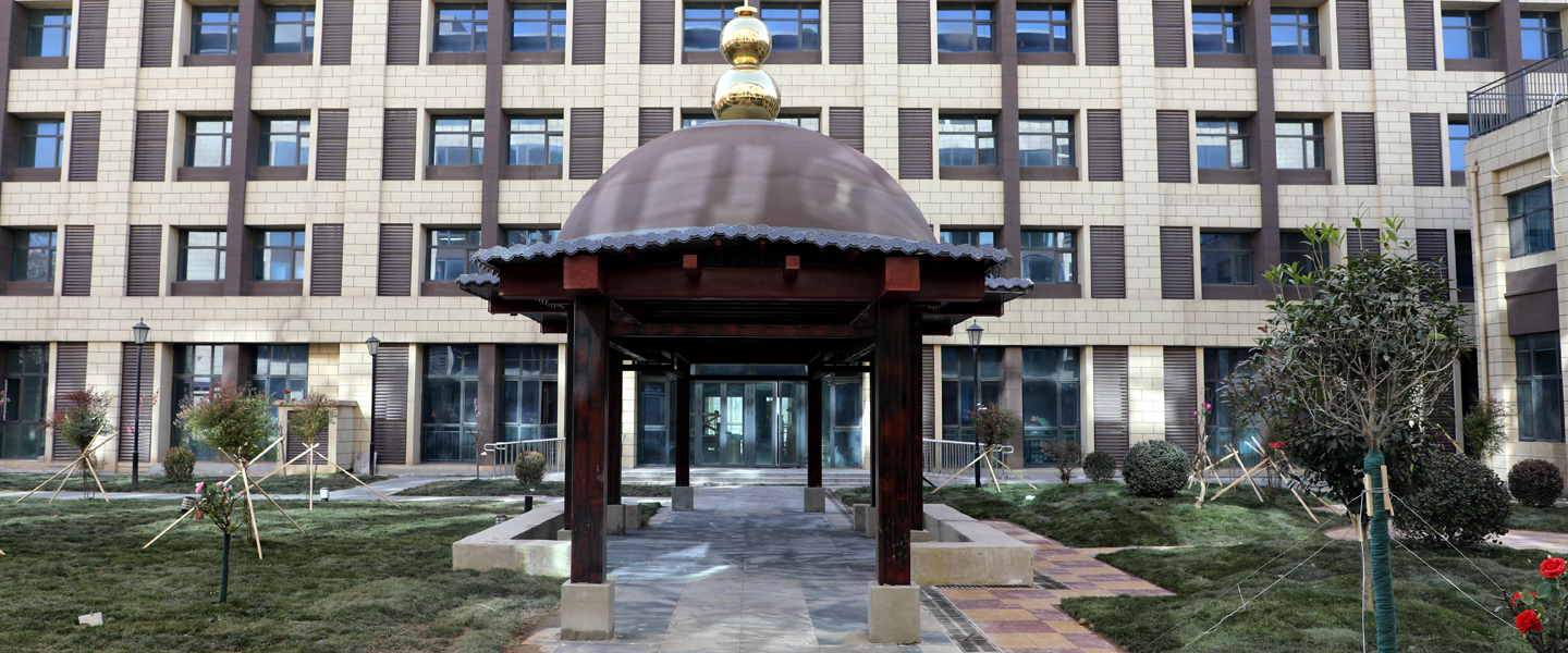 養老到仁愛，滿滿都是愛